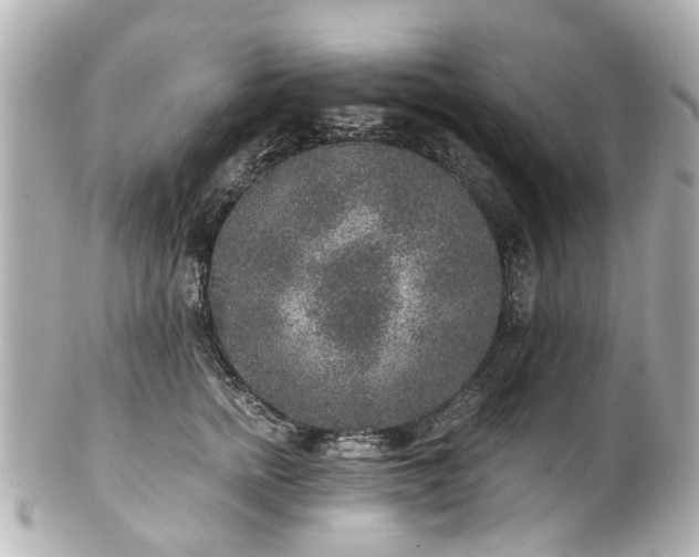 X0000100900758200807011220