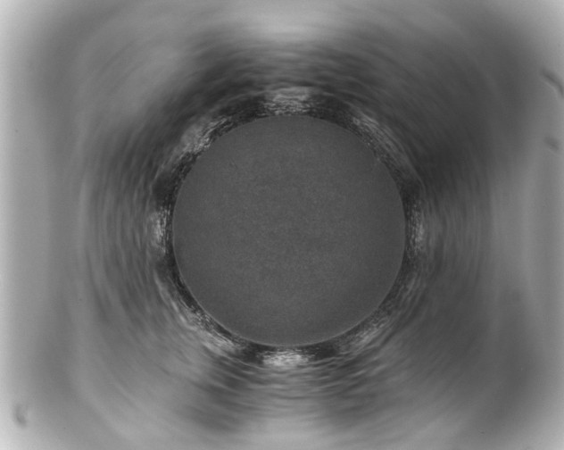 X0000100900759200807011220