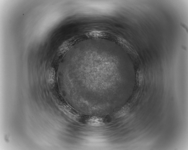 X0000100900760200807011220