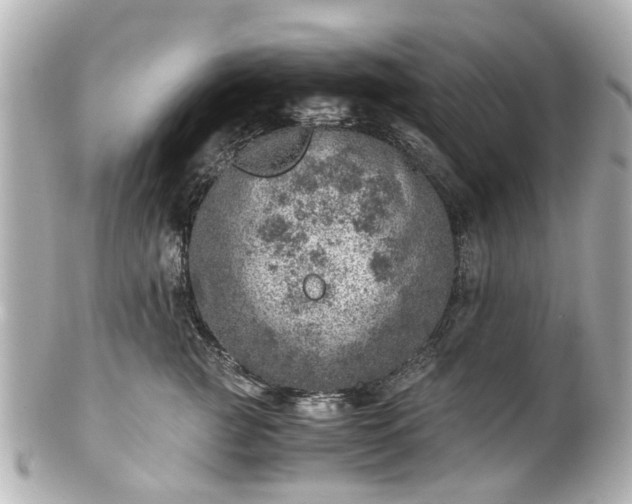 X0000100900761200807011220