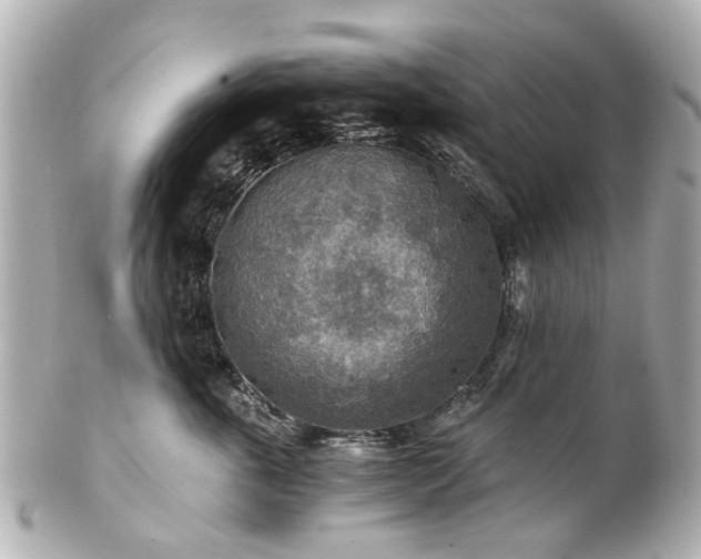 X0000100900763200807011220