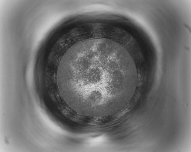 X0000100900765200807011220