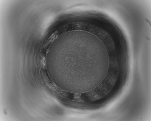 X0000100900766200807011220