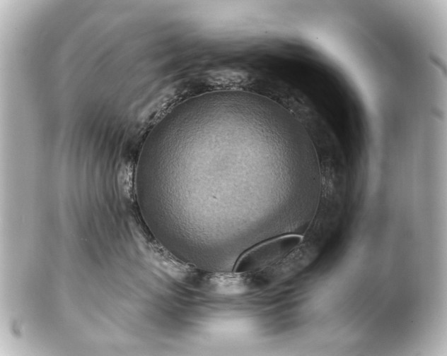 X0000100900767200807011220