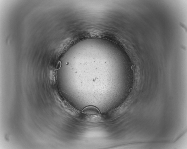 X0000100900768200807011220