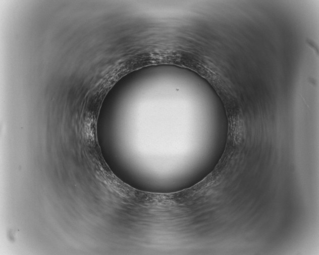 X0000100900770200807011220