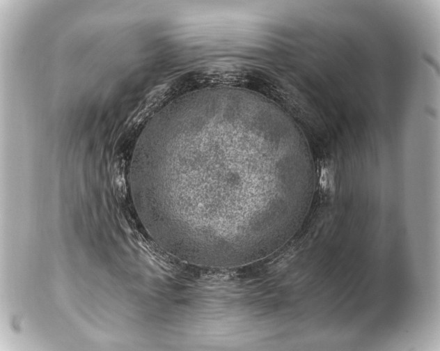 X0000100900771200807011220