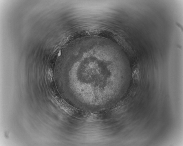 X0000100900772200807011220