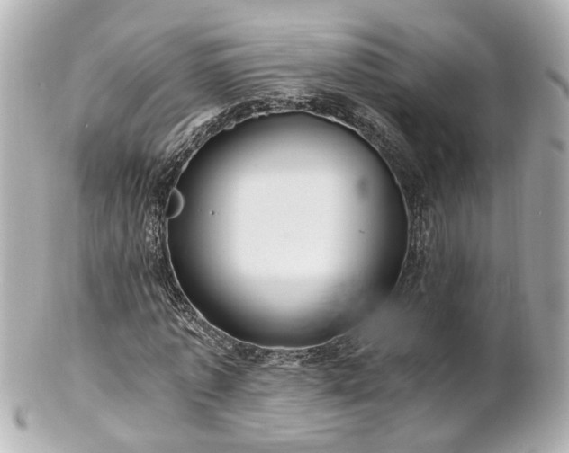 X0000100900773200807011220