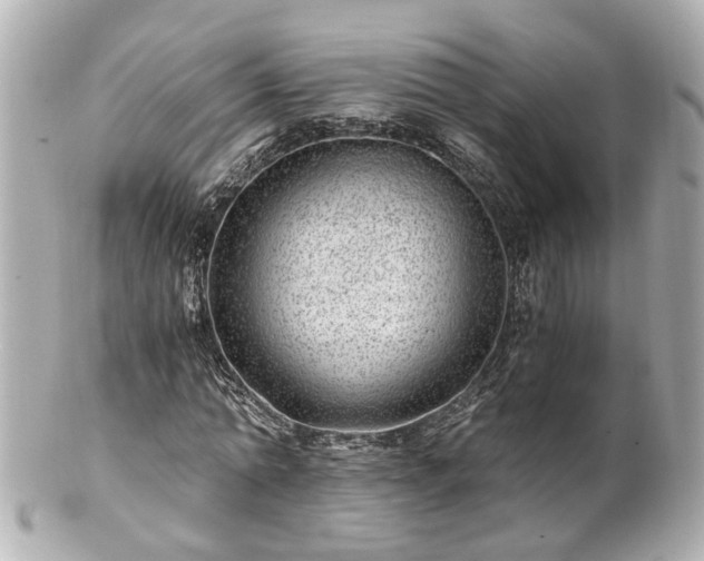 X0000100900774200807011219