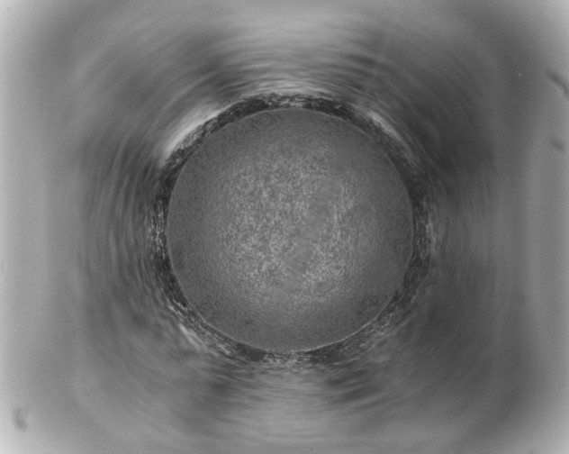 X0000100900775200807011219