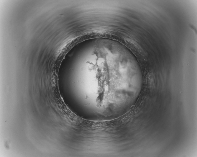 X0000100900776200807011219