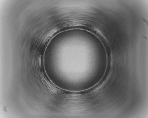 X0000100900777200807011219