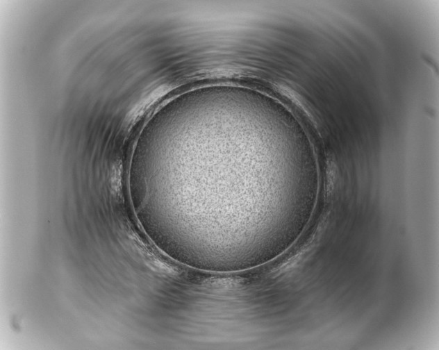 X0000100900778200807011219