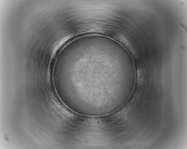 X0000100900780200807011219