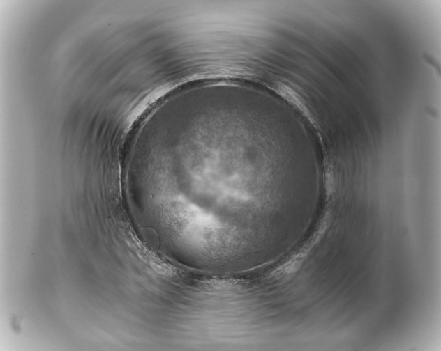 X0000100900781200807011219