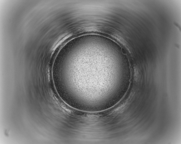 X0000100900782200807011219