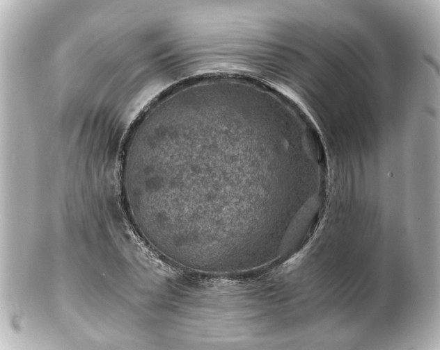 X0000100900783200807011219