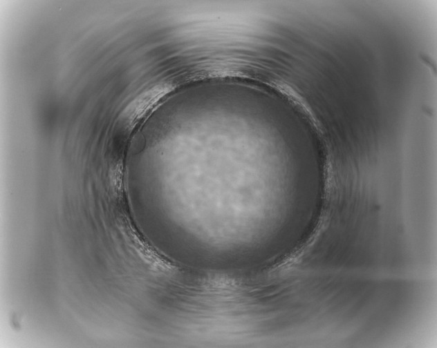 X0000100900785200807011219