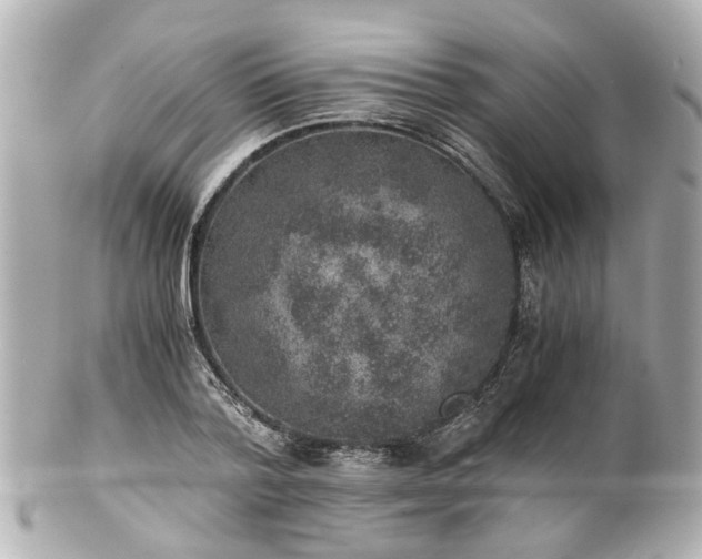 X0000100900788200807011219