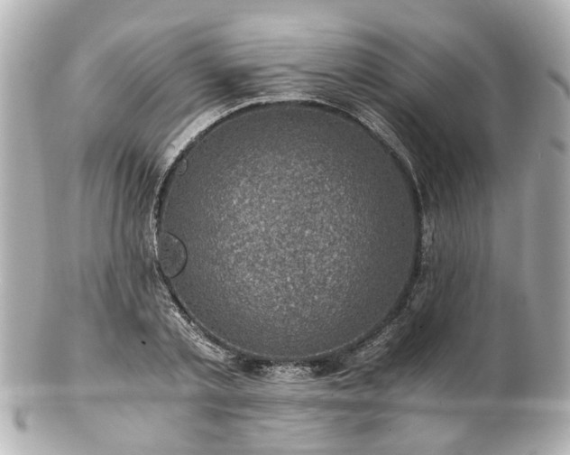 X0000100900789200807011219