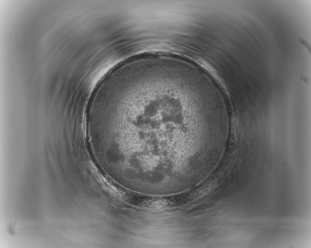 X0000100900791200807011219