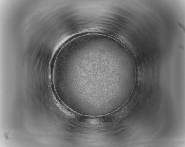 X0000100900792200807011219