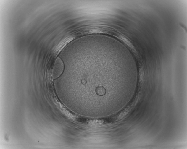 X0000100900793200807011219