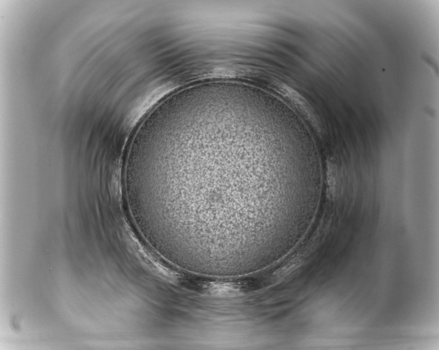 X0000100900794200807011219