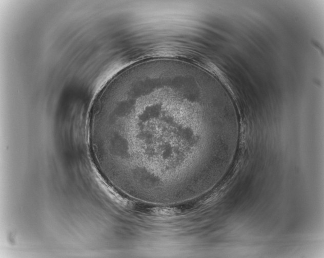 X0000100900795200807011219