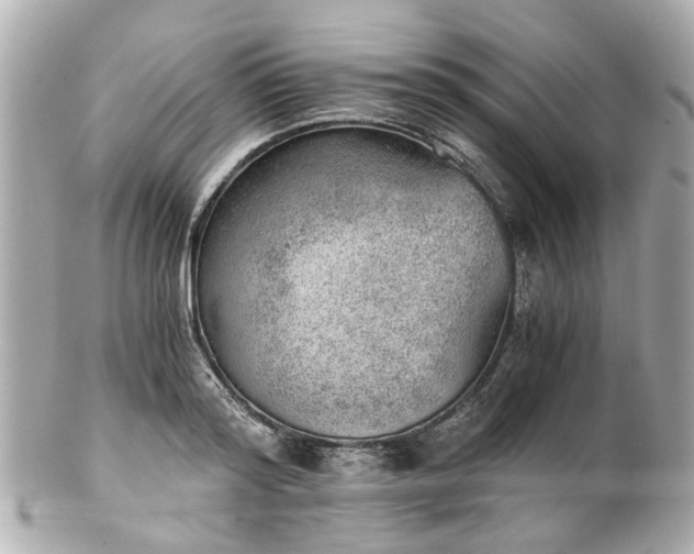 X0000100900796200807011219