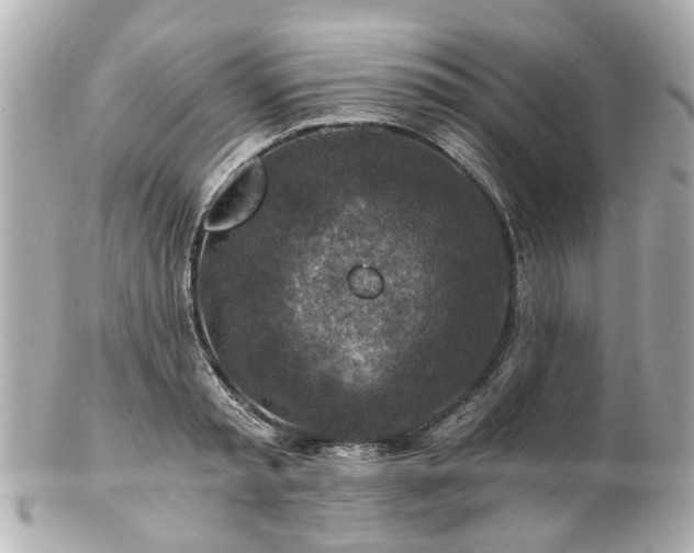 X0000100900797200807011219