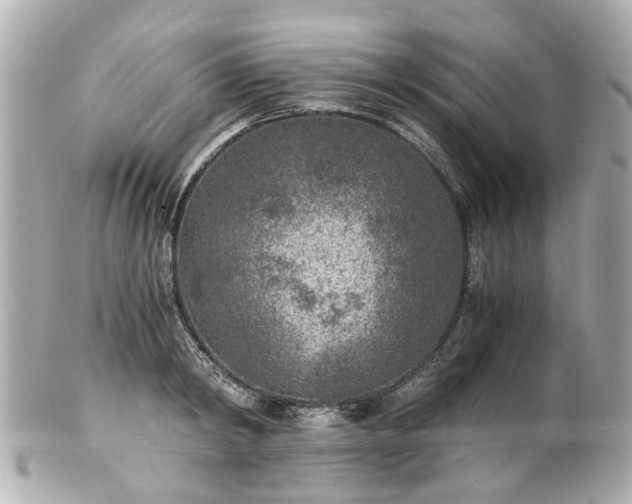 X0000100900798200807011219