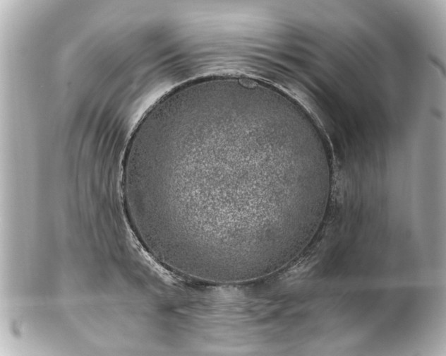 X0000100900799200807011219