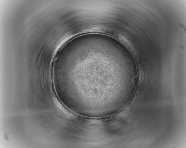 X0000100900800200807011219