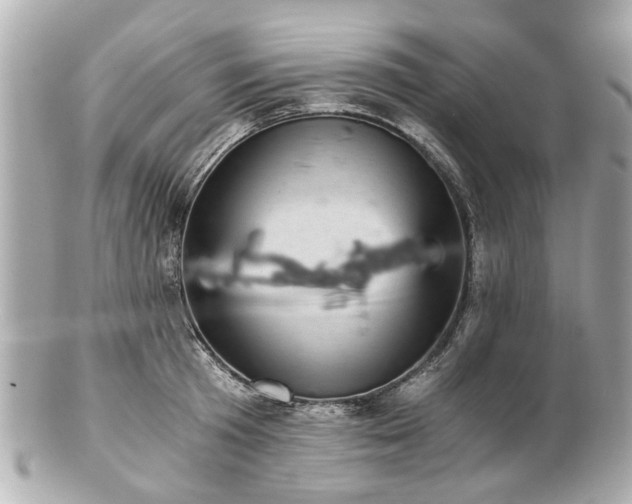 X0000100900801200807011219