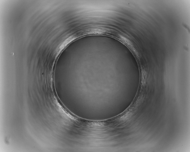 X0000100900802200807011219