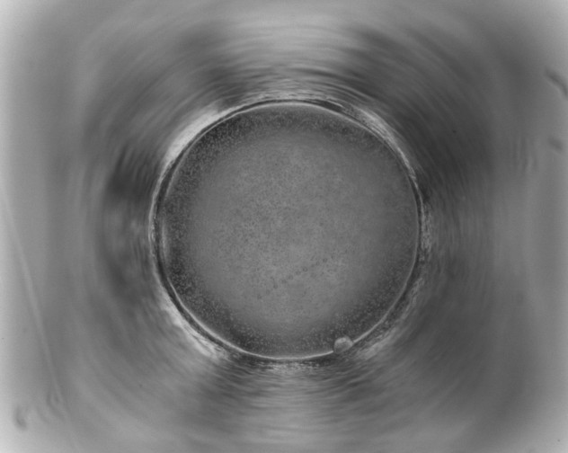 X0000100900803200807011219