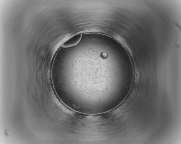 X0000100900805200807011219