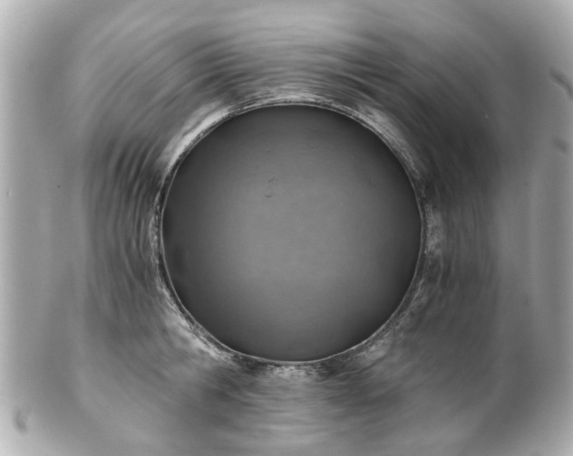 X0000100900806200807011219