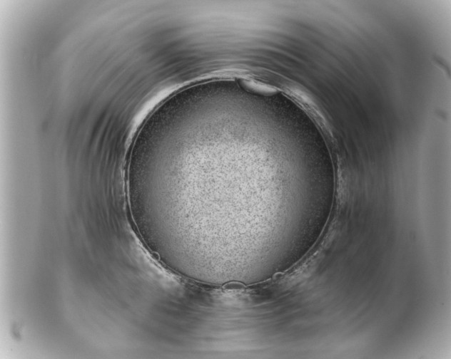 X0000100900808200807011219