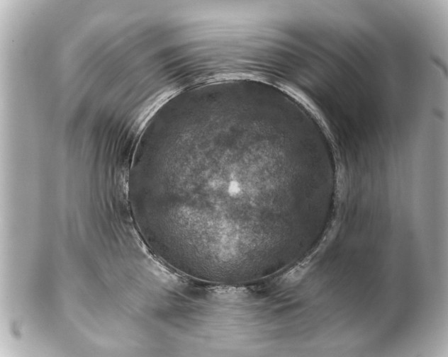 X0000100900809200807011219