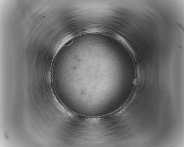 X0000100900810200807011219