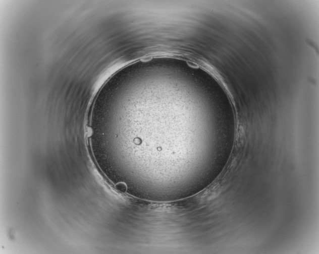 X0000100900811200807011219