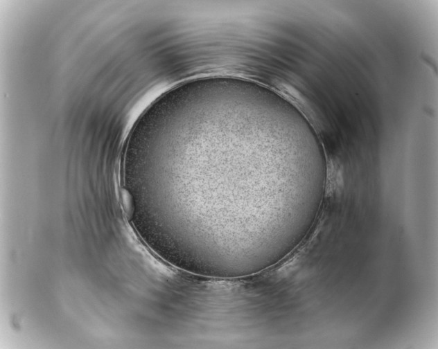 X0000100900812200807011219