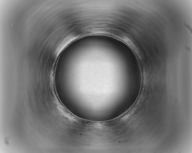 X0000100900814200807011219