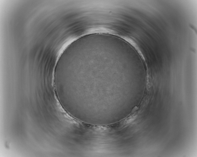 X0000100900815200807011219