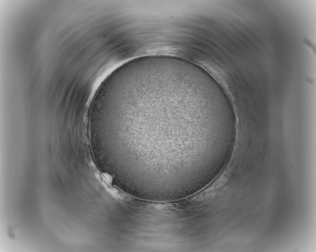 X0000100900816200807011219