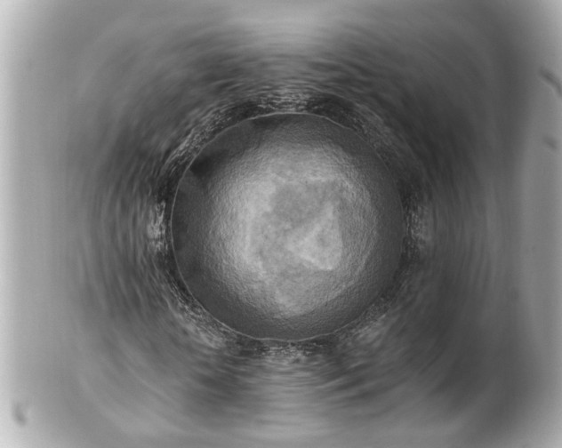 X0000100900818200807011218