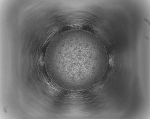 X0000100900819200807011218